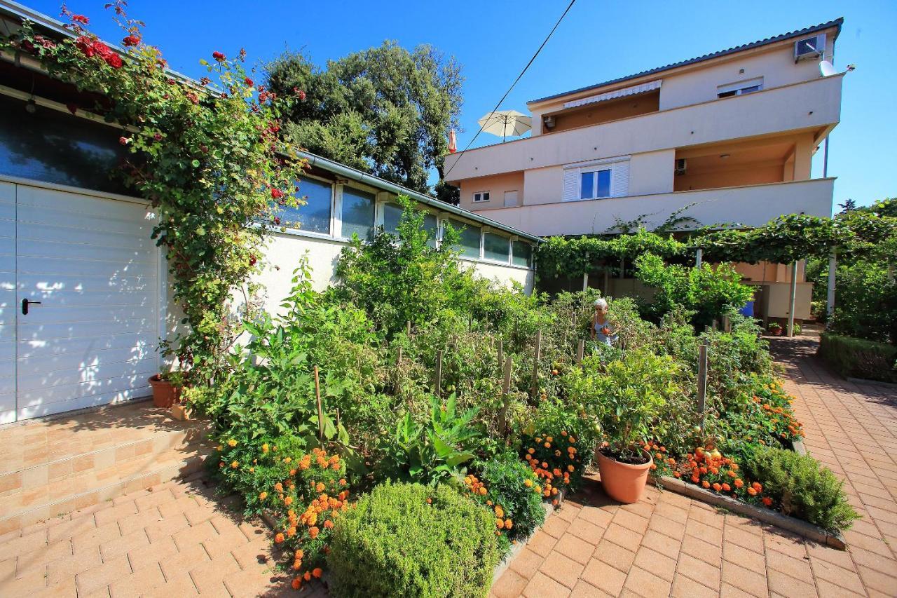 Sunny Apartments Bibinje Extérieur photo